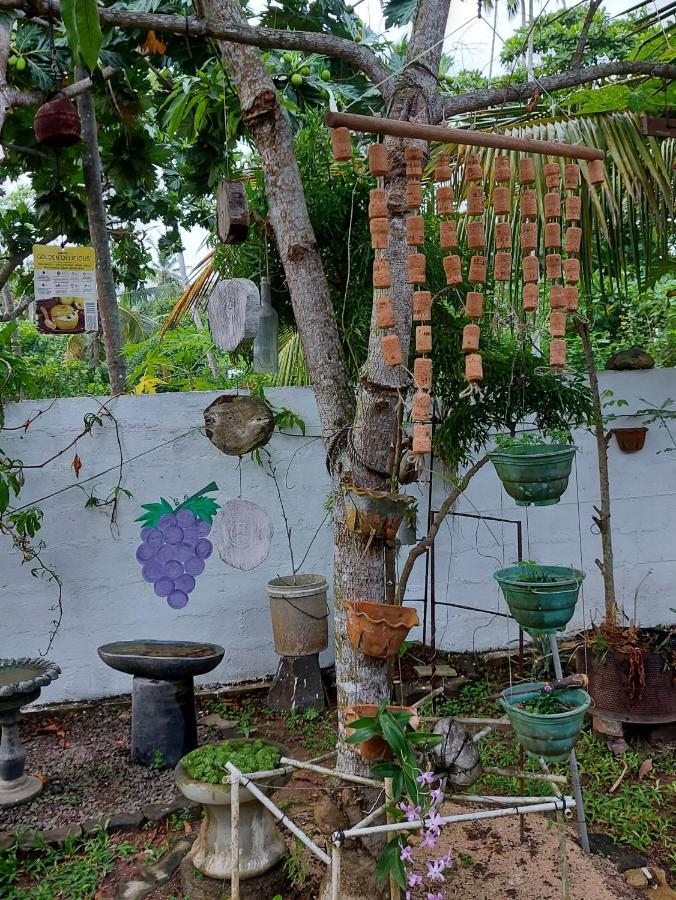 Wine Tree Garden Guesthouse Mirissa Kültér fotó