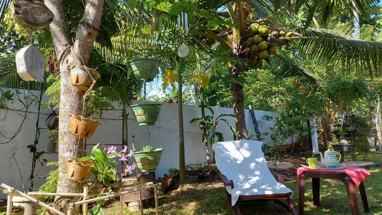 Wine Tree Garden Guesthouse Mirissa Kültér fotó