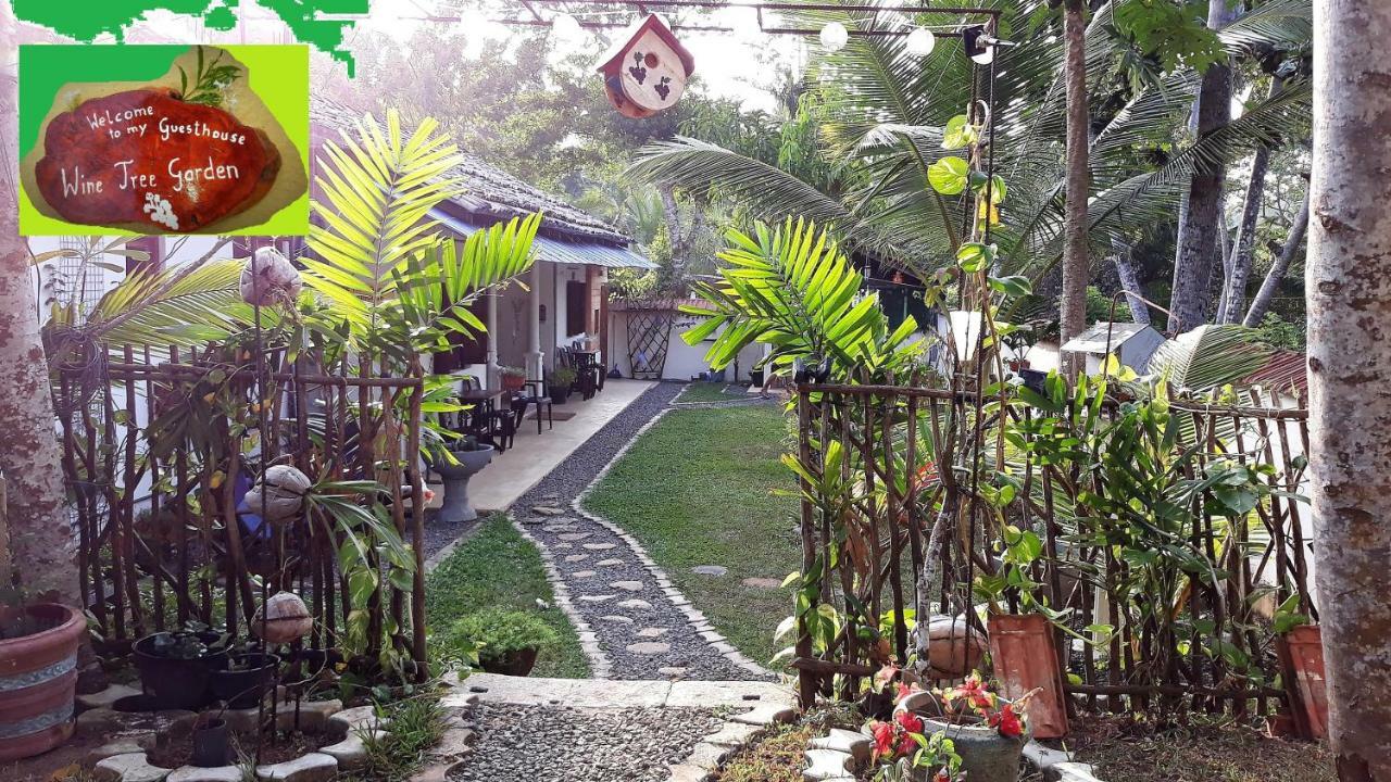 Wine Tree Garden Guesthouse Mirissa Kültér fotó